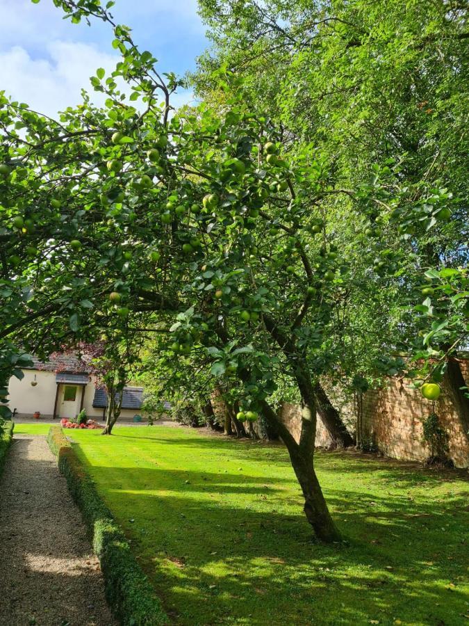 Отель Banoge House Donaghcloney Экстерьер фото